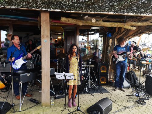 Ben Son Mosquito Live - Afbeelding 5