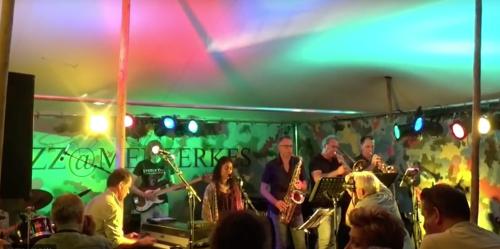 Ben Son Mosquito Live - Afbeelding 7
